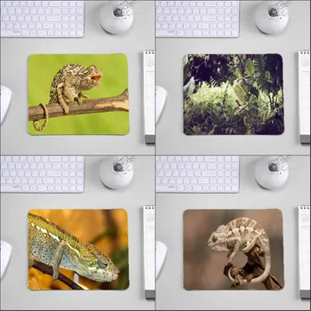 

Mairuige Lizard Chameleon Beauty Pattern Table Mousepad To Decorate Desktop and For Pc Computer Game Player Gaming Mouse Pads