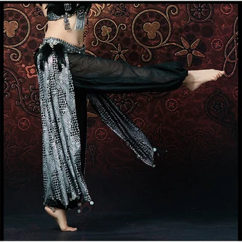 

2019 New Arrival Women Belly Dance Harem Pants Arabic Halloween Lantern Pants With Silver Coin For ATS competition pants
