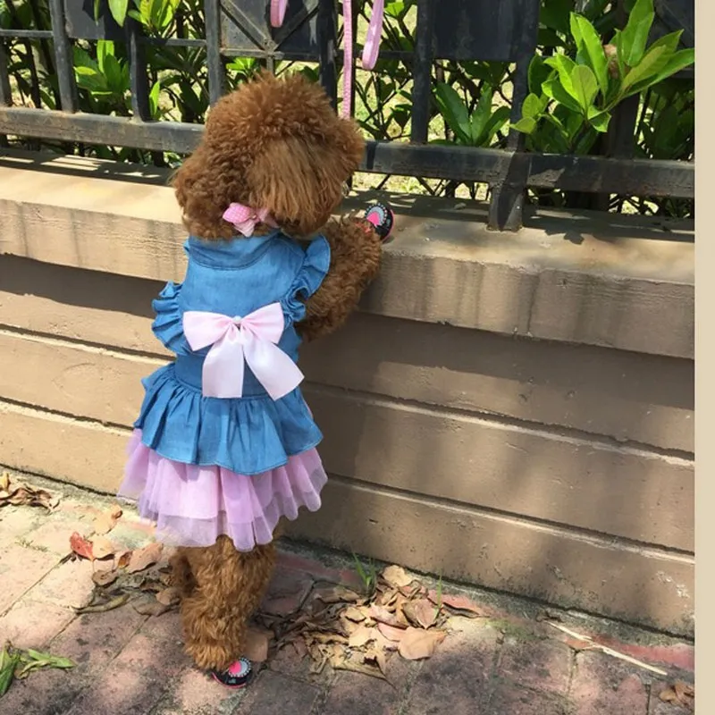Summer Dog Dress Small Princess Pet Dog Clothes for Small Dog Wedding Dress Skirt Puppy Clothing Spring Pet Clothes Chihuahua (12)
