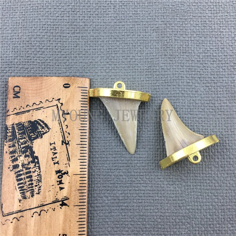 MY0484 Real Shark Tooth Pendant Charm,Natural Gold Color Cap and Bail  Boho Necklace Making Jewelry (3)