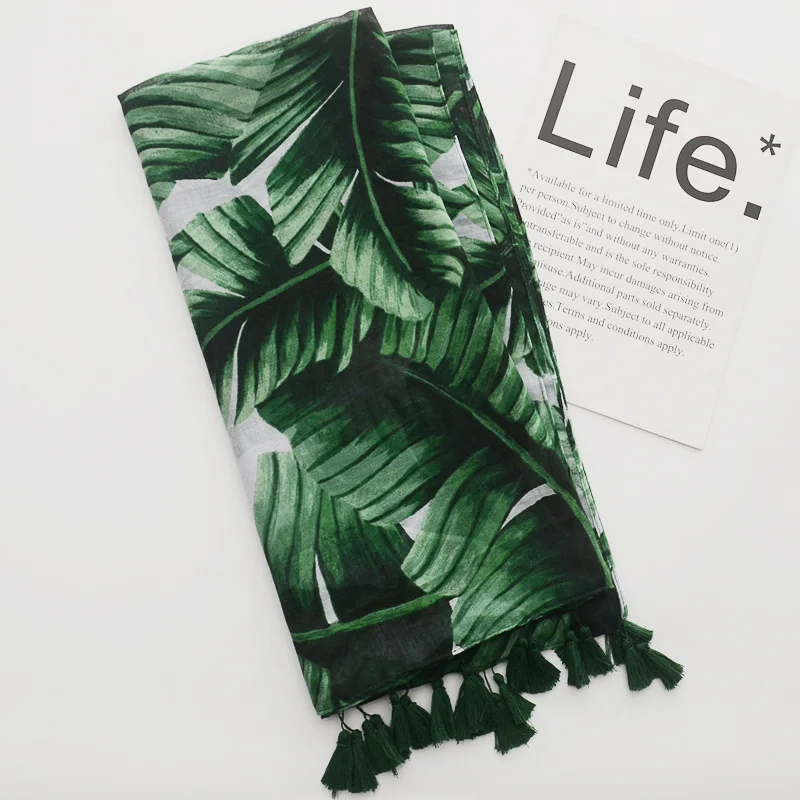 8069136959_1616066044