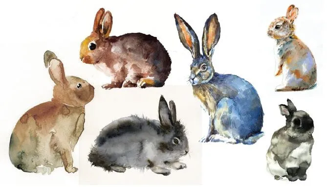 للماء المؤقتة وهمية لصاقات وشم المائية رمادي أرنب الأرنب الكرتون تصميم الجسم الفن أدوات تجميل للماء المؤقتة وهمية لصاقات وشم المائية رمادي أرنب الأرنب الكرتون تصميم الجسم الفن أدوات تجميل