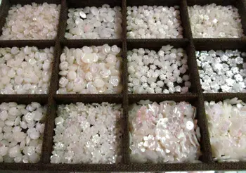 

50pcs Assorted high quality Mop Shell jewelry white rose Carved flower Cabochon Shell Jewelry beads 8-12mm