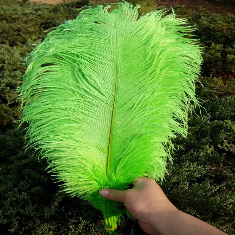 Ostrich feathers Wholesale discount green ostrich feathers 12 14 inch
