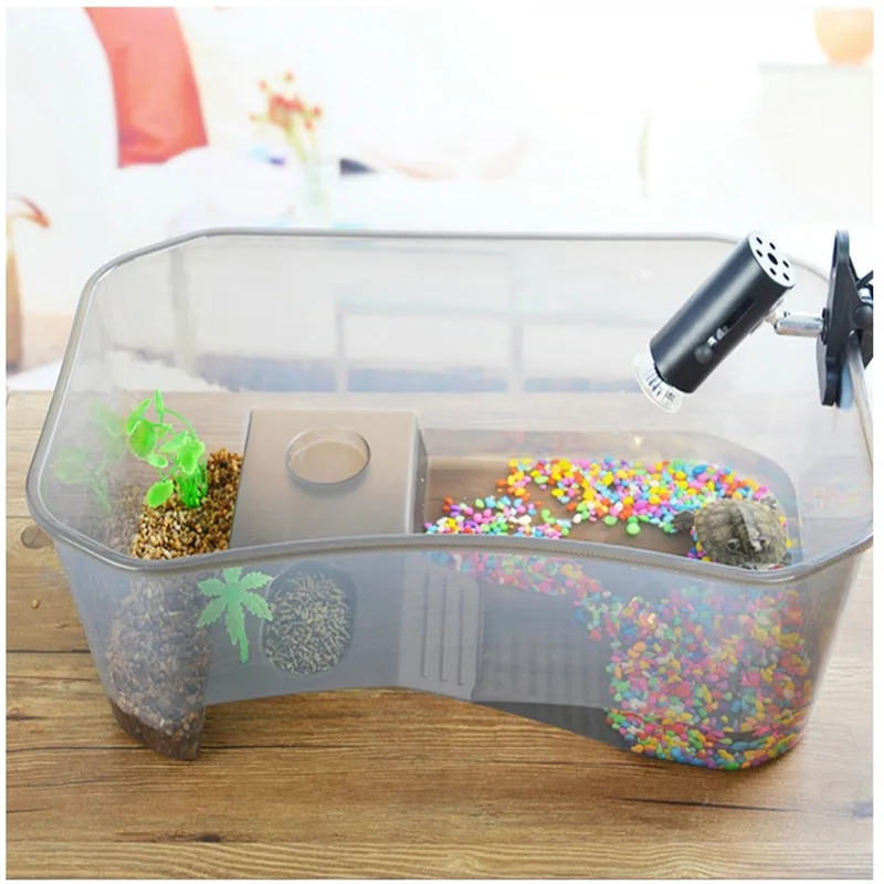 Tortoises Basking Ramp Boxes Plastic Turtle Terrarium Box for Reptiles Transport Breeding Live Food Feeding Box S L Transparent Tortoises Basking Ramp Boxes Plastic Turtle Terrarium Box for Reptiles Transport Breeding Live Food Feeding Box S L Transparent