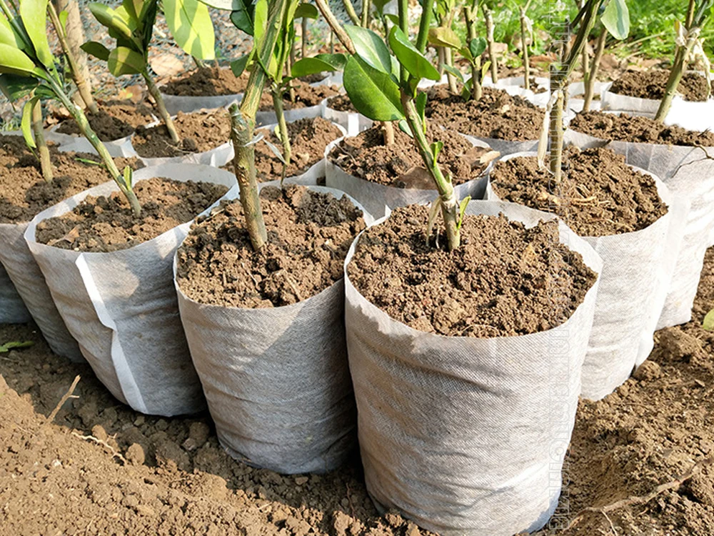 100 PCS Solid Plants Grow Bags 7.8x8.6 Biodegradable Seed Starter Bags Fabric Seedling Pots Plants Pouch Home Garden Supply ENPOINT Non-Woven Nursery Bags 