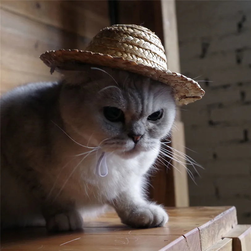 Outdoor Straw Sombrero Pets Cap Hat Dog Cat Headband Festival Cosplay Headdress Costumes Hair Band Hat Cat Dog Band 40JA11 (4)