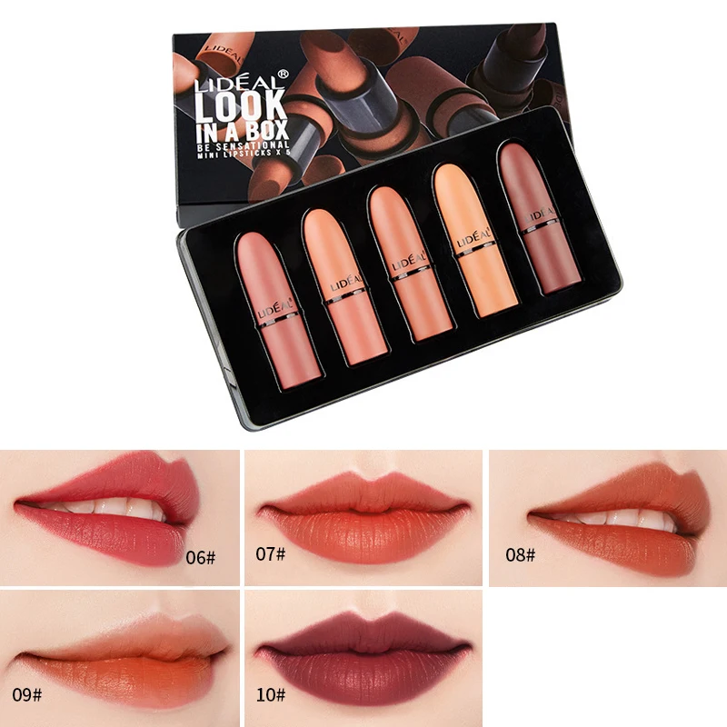 

New Fashion Brand Matte Mini Lipstick Makeup Set Waterproof Long Lasting Pigment Red Nude Brown Matte lipstik Cosmetic