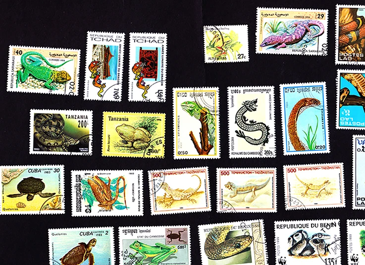 O1CN01HsWg8K21ZaYLvmMCd_!!136196999