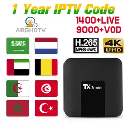 TX3 мини IP tv Турецкий Арабский IP tv Algeria Kurdistan IP tv netherland, Бельгия, Morocco IP tv, Франция, арабский Турция, 4 K IP tv, Франция