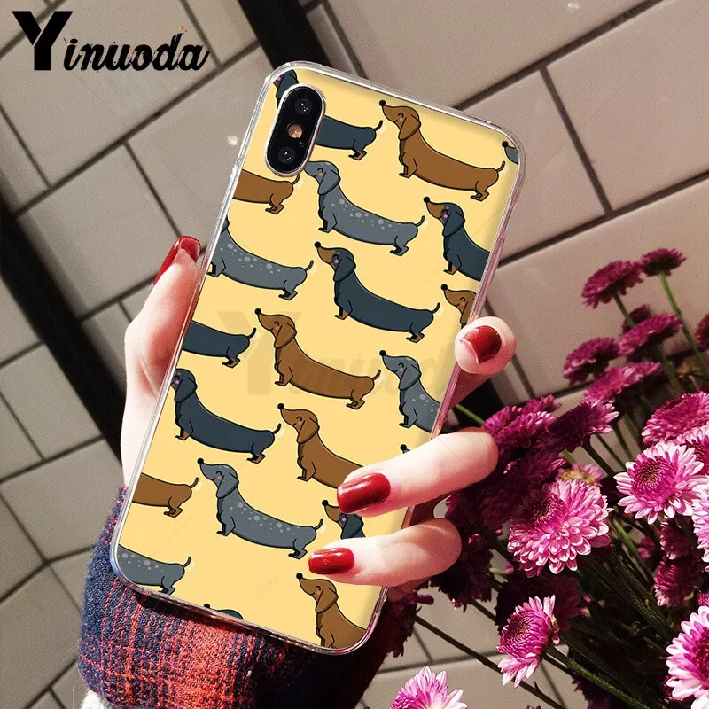 Animals Dogs Dachshund