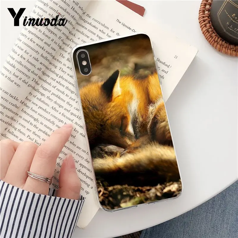 fox is sleeping
