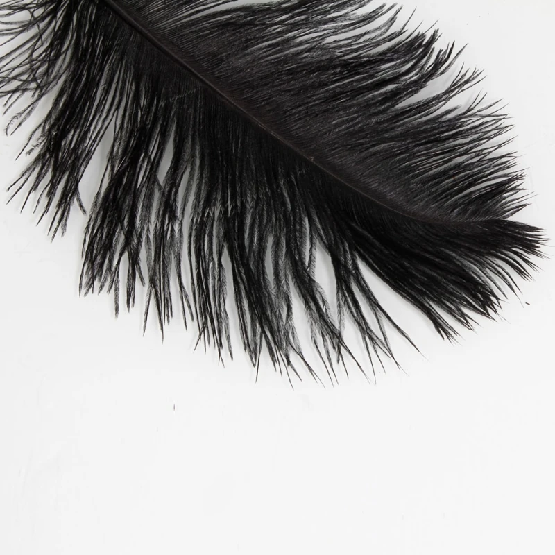 10pcs-1358-Ostrich-Feather-Black_3_800x800
