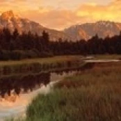 Sunrise Grand Teton National Park  Wyoming  USA Poster Print (36 x 12)