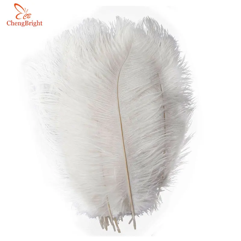 

ChengBright 10 Pcs/Lot Natural White Ostrich Feathers For Crafts 15-75CM Carnival Costumes Party Home Wedding Decorations Plumes