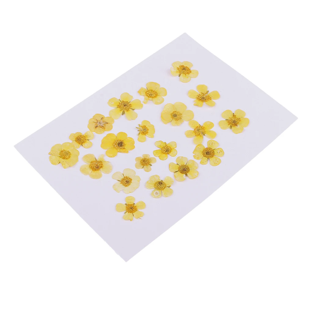 Pack of 50pcs Natural Dried Flower Real Flower Mixed For DIY Resin Ornament Craft Card Making Scrapbooking Embellishments