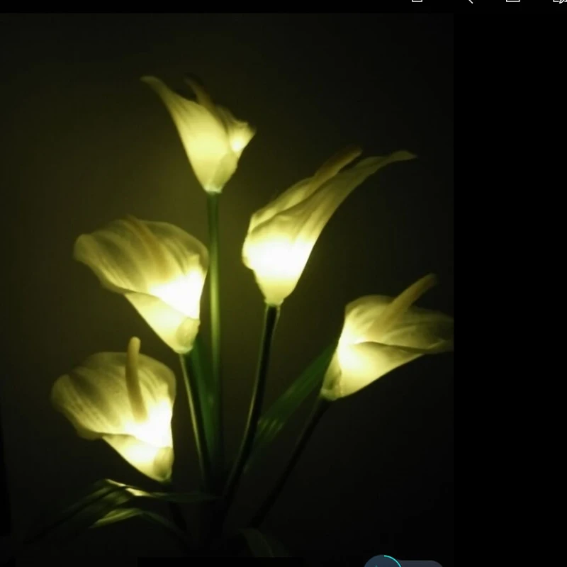 4102270447_196694924