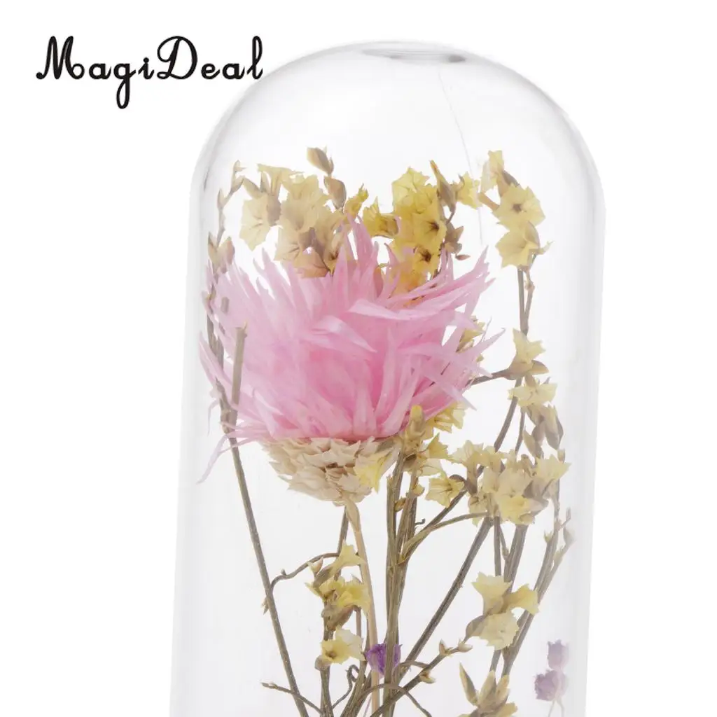 Clear Glass Display Cloche Bell Jar Dried Immortal Flower Preservation Vase Wooden Base Cafe Bar Countertop Decor Ornament
