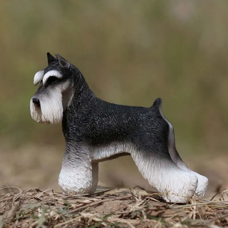 Mnotht 1/6 Миниатюрная модель Schnauzer для домашних животных MRZ019 моделирование резная