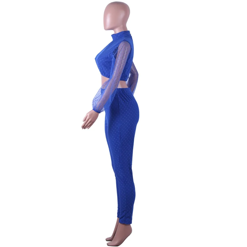 7 -  -  -  -  -  (7) -  - 