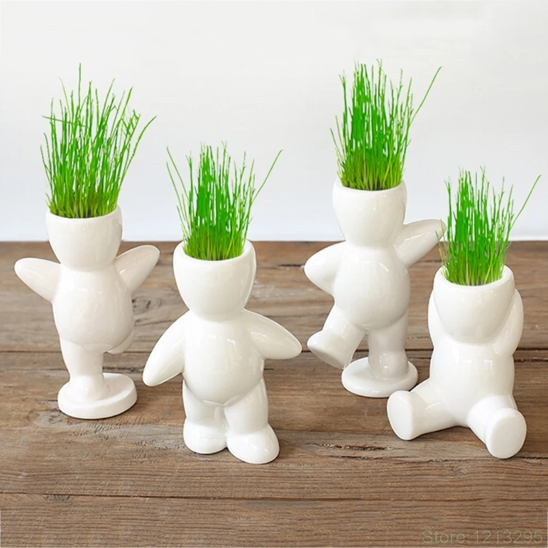 

DIY Mini Novel Bonsai Grass Doll Hair White Lazy Man Plant For Garden Planting Bonsais Gift Home Decoration Random Deliver W215