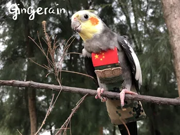 

Gingerain Bird clothes Parrot clothes diaper Bulletproof suit original hand-made custom bird clothes diaper Bulletproof suit