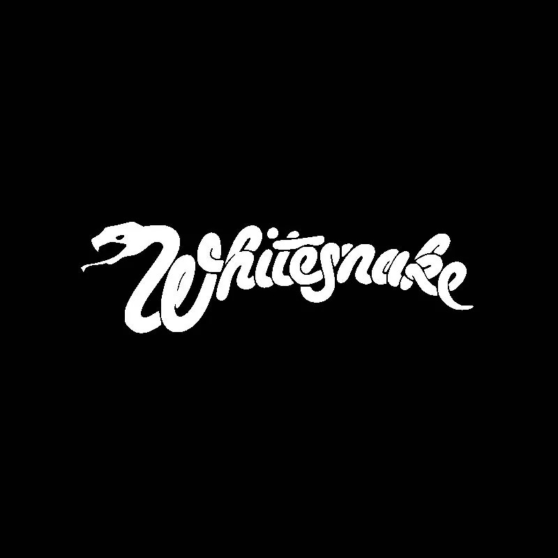 YJZT 17 8 см * 5 Whitesnake Предупреждение ющий знак Виниловая наклейка для мотоцикла