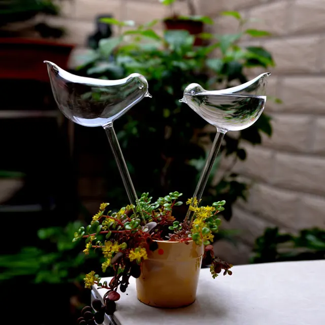 Hot Glass Plant Flower Water Feeders Self Watering Bird Design