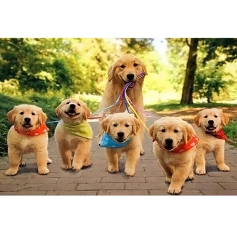 

5D DIY Diamond Painting Dog Family Crystal Diamond Painting Cross Stitch Golden Retrievers Animal Needlework Decor Unframed 1479