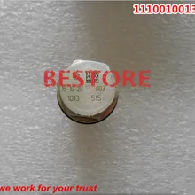 Подлинный и клапан сброса давления 1110010013/1 110 010 013