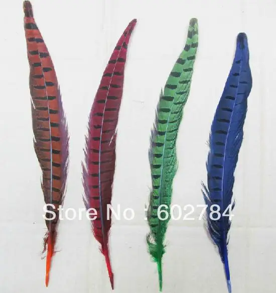 

Free shipping 200PCS 10-12 inches 25-30cm mix color ringneck pheasant feather dyed feather