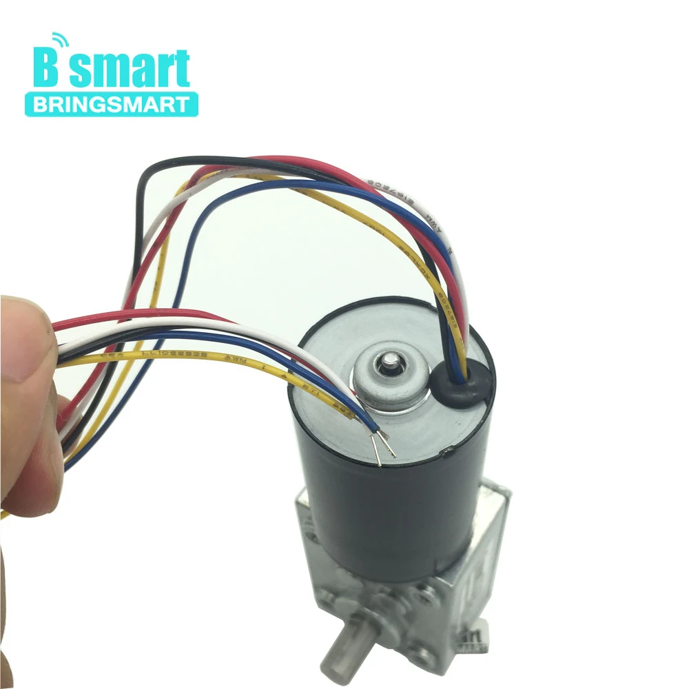 

Bringsmart 24V 12V Mini Electric Motor 8-470RPM 2.5-60KG High Torque Worm BLDC DC Motor Reversed Self Lock For DIY 5840-3650S