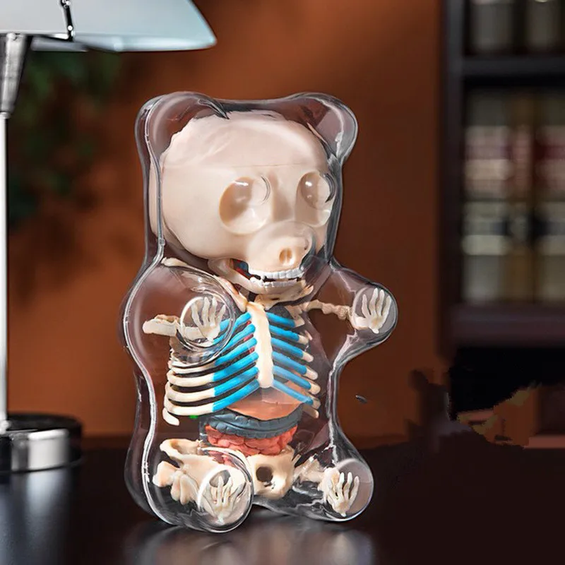 

4D Master Artist Jason Freeny Educational Assembled Toy Bear Perspective Skeleton Dissection PVC Action Figure Toy X1464