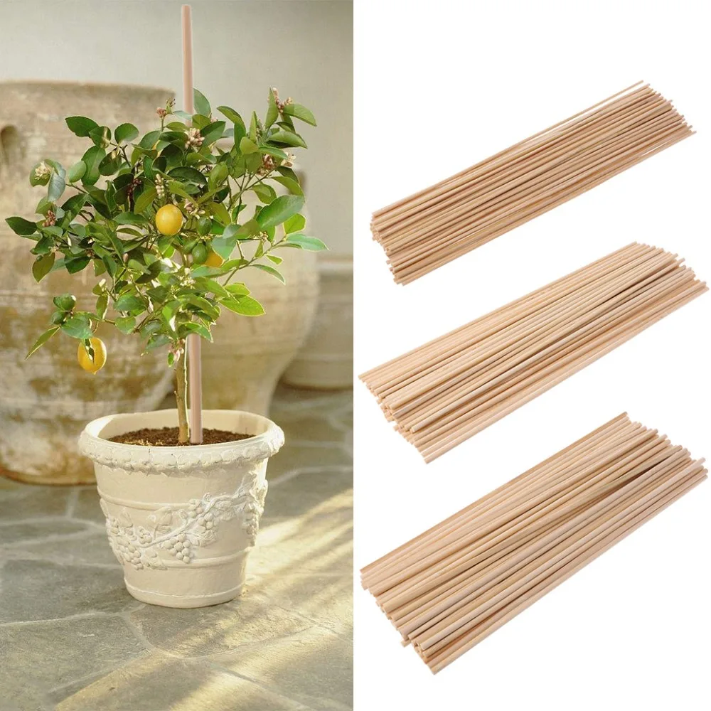 50 Wooden Plant Grow Support Bamboo Plant Sticks Garden