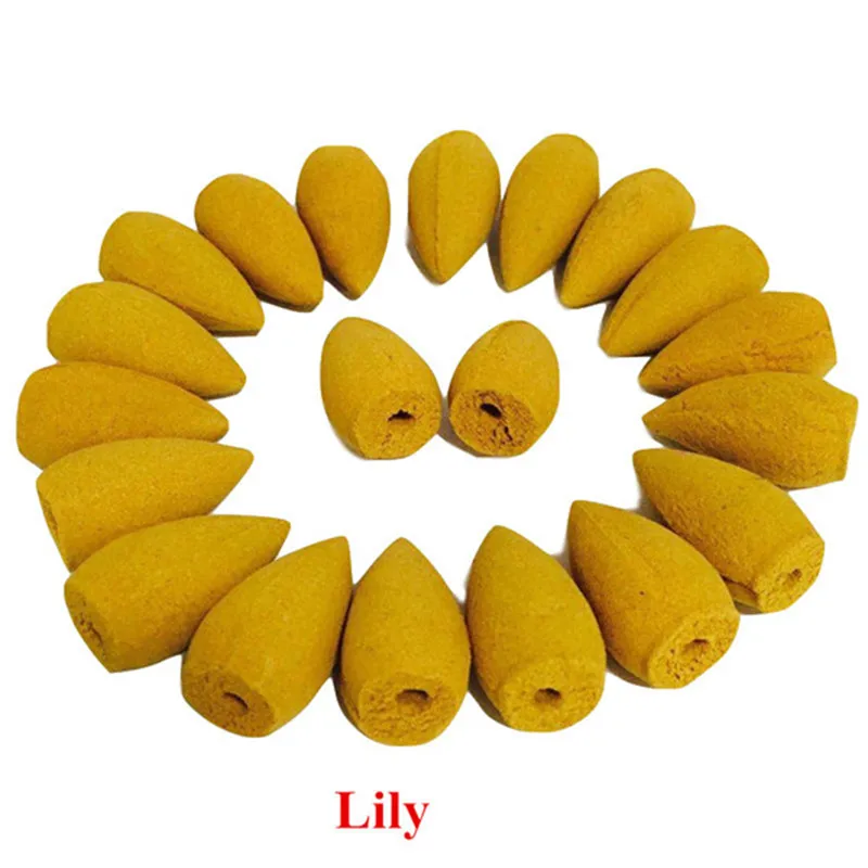 80 PcsBottle Chinese Natural Fragrance Backflow Incense Agarwood Cones Wormwood Rose Mint Scent Incense Cones 10 Types  (1)