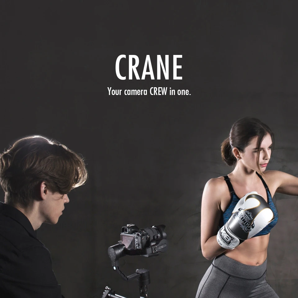 Crane1_01