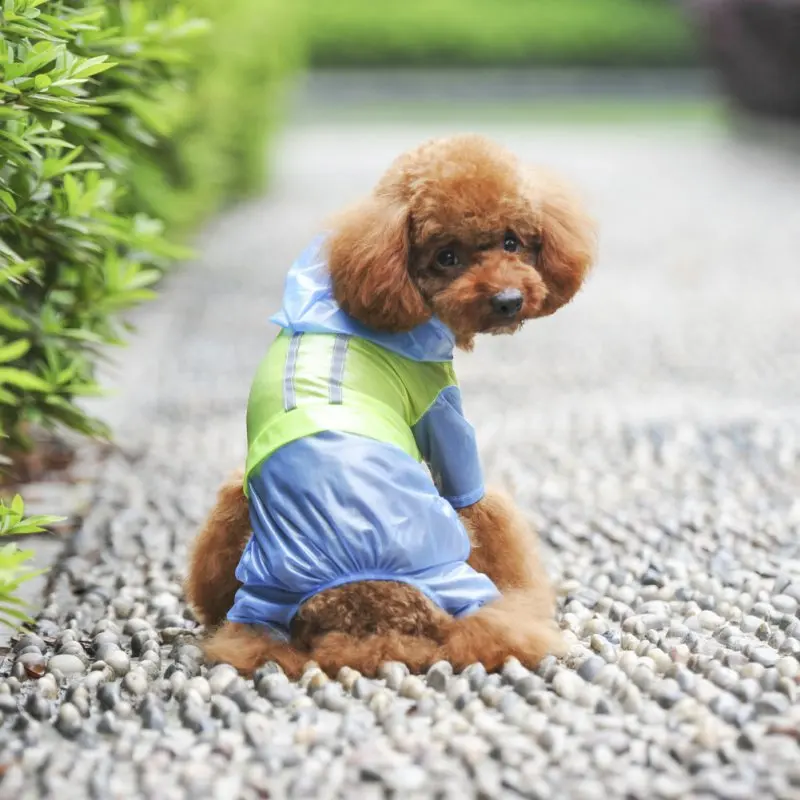 Pet Dog Puppy Coat Clothes Raincoat Waterproof Solid Color Hoodie