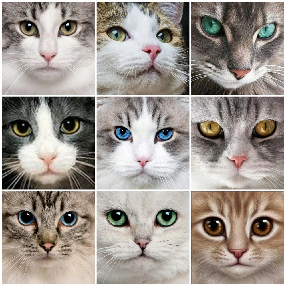 

Huacan Diamond Embroidery Sale Cats Eye 5D Cross Stitch Diamond Painting Animal Rhinestones Square Full Drill Diamond Mosaic