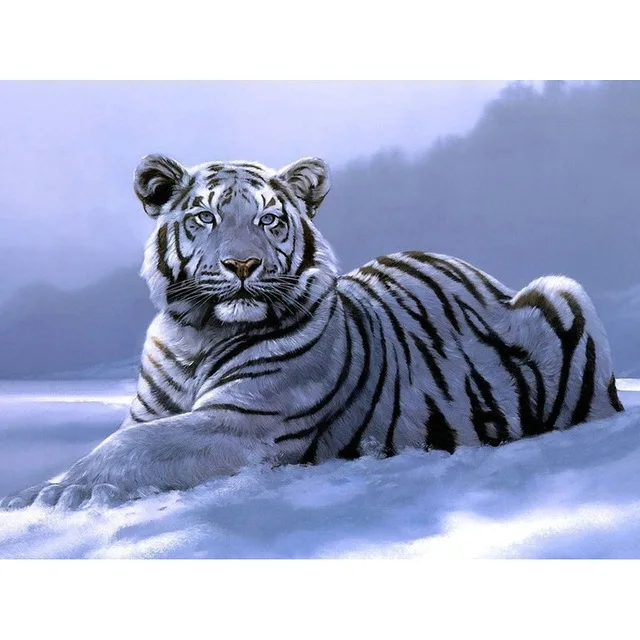 YIKEE-diamond-painting-White-tiger-5d-diy-diamond-diamond-painting-crystal-Y1648.jpg_640x640