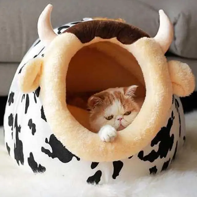 Warm House for Cat