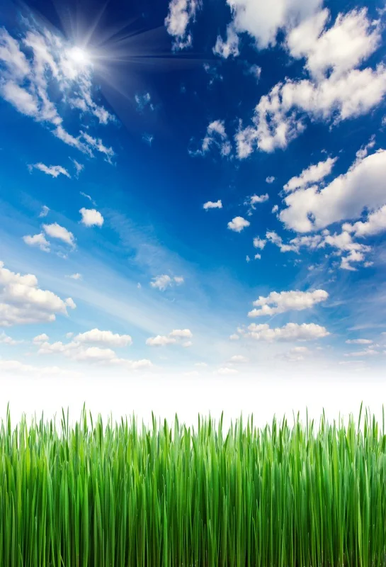 

Laeacco Blue Sky And White Sunny Green Party Photo Backgrounds Customized Vinyl Digital Photography Backdrops For Photo Studio