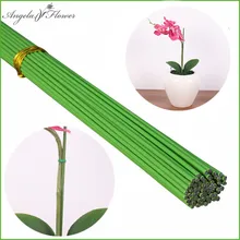 Phalaenopsis-accesorio de decoración para plantas, plantas de orquídeas en macetas, flores, varilla de alambre, tallo, 2 unids/lote