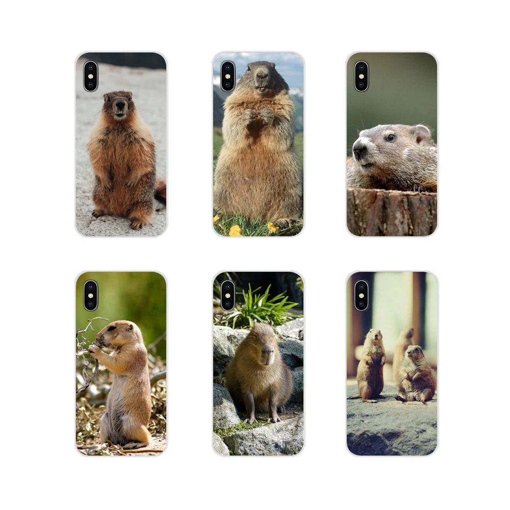 Аксессуары чехлы для телефонов Samsung Galaxy A3 A5 A7 A9 A8 Star A6 Plus 2018 2015 2016 2017 Animal Groundhog |
