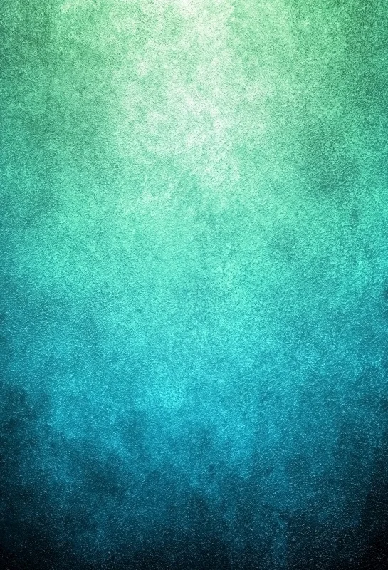 Laeacco Grunge Gradient Solid Color Portrait Photography Backgrounds