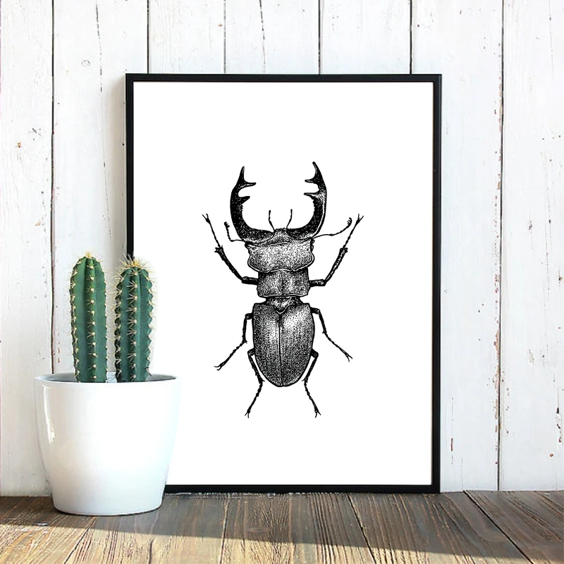 insect illustration print
