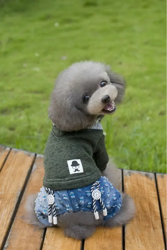 Y117_2016_Winter_Pet_dog_Fleece_sweater_clothes_Lovely_super_Warm_Fleece_4_legs_clothes_for_Puppy_dog_Jumpsuit_Coverall_Costume_Apparel_ (7)