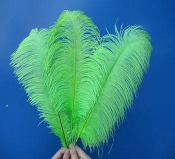 

Wholesale Beautiful green ostrich feathers 50pcs 16-18 inches / 40-45 cm Free Shipping