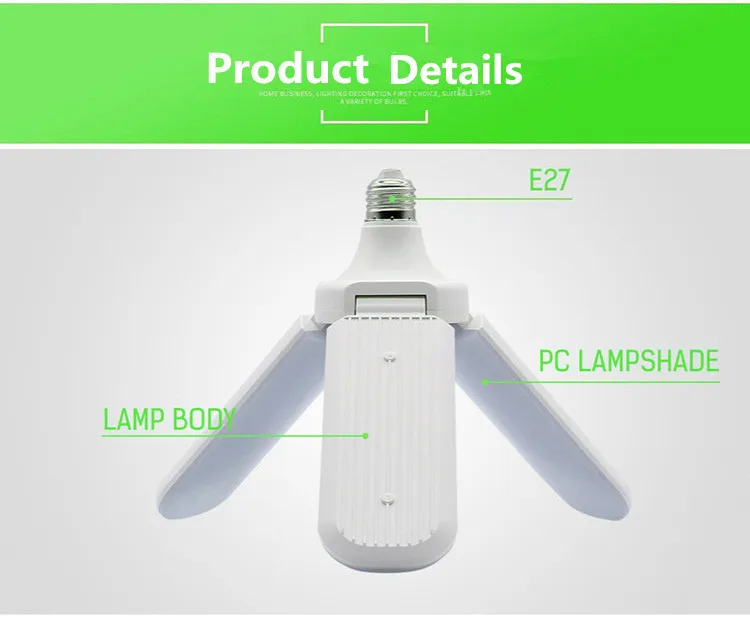 10933169969_764893938