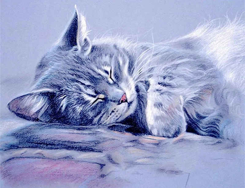 NEW-Diamond-embroidery-cat-diamond-painting-complete-picture-of-rhinestones-diamond-mosaic-sale-full-square-rhinestones.jpg_.webp_640x640