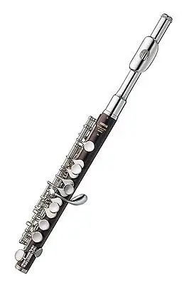 32+ Piccolo Instrumento Gif